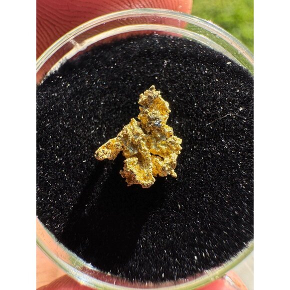 California Native Gold Crystal - 0.39 grams - Picture 4 of 6
